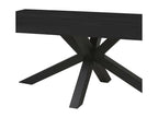Metal Home Furniture - Black